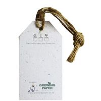 Growing Paper Blue In The Garden Tags 